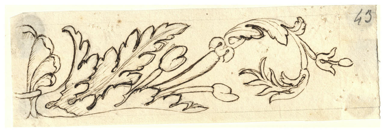 Foglie d'acanto stilizzate (disegno) di Maggiolini (bottega) (secc. XVIII/ XIX)
