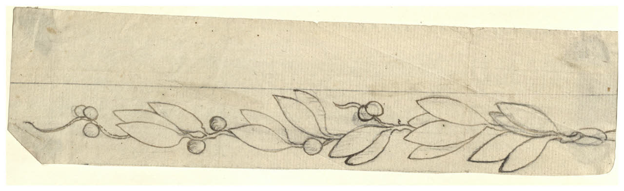 Bordura con ramo d'ulivo (disegno) di Maggiolini (bottega) (secc. XVIII/ XIX)