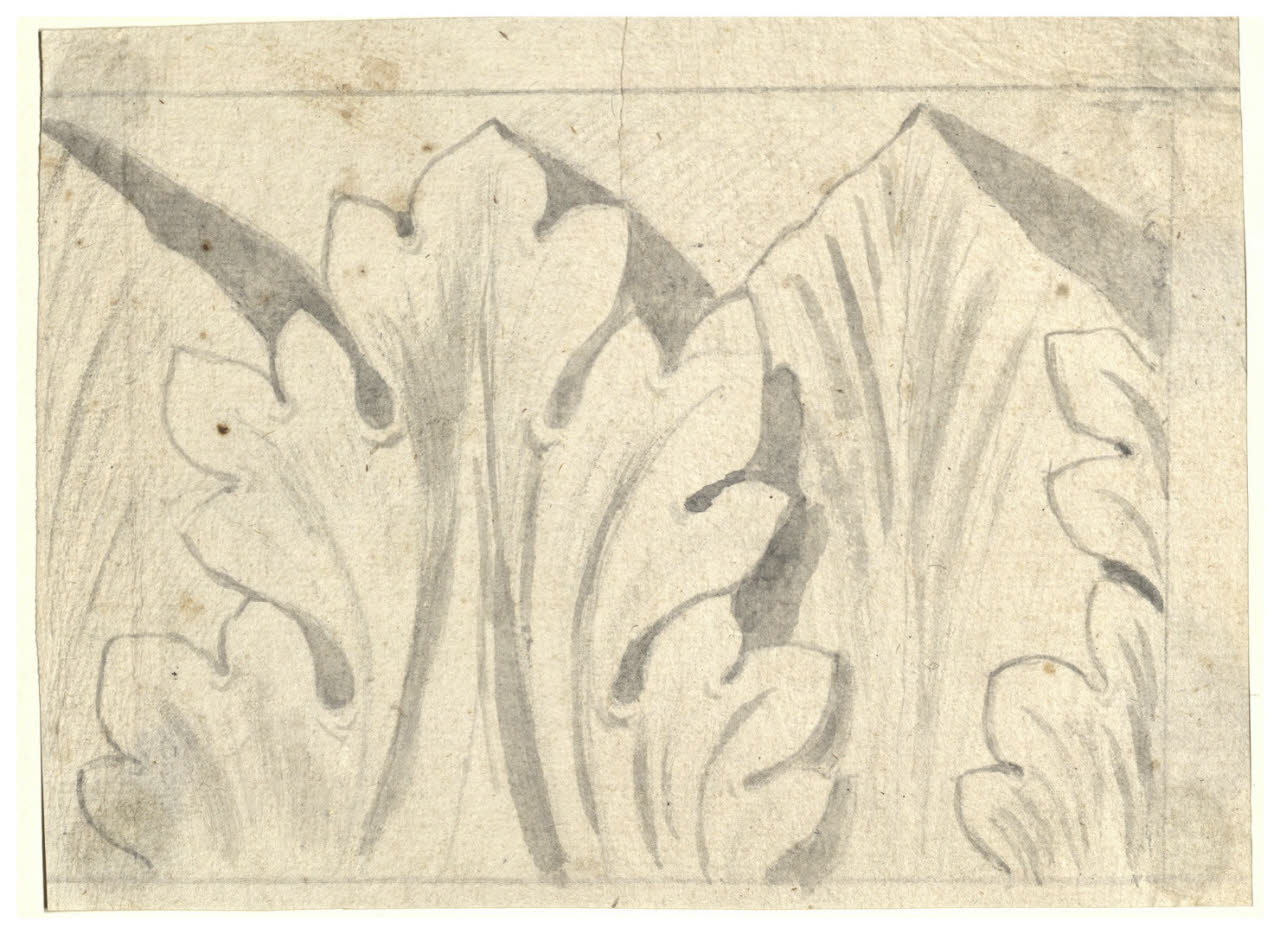 Foglie d'acanto stilizzate (disegno) di Maggiolini (bottega) (secc. XVIII/ XIX)