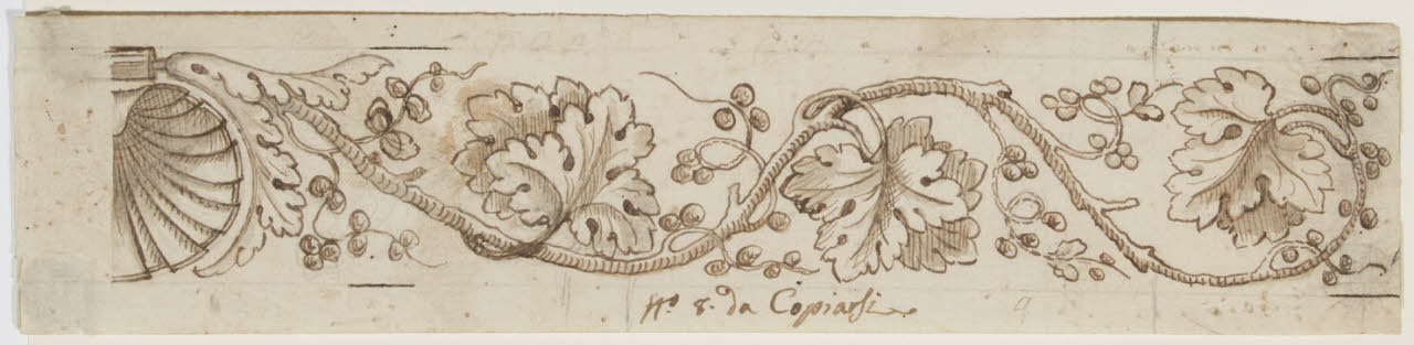 Fregio con conchiglia e viticcio (disegno) di Levati, Giuseppe ((?)) (secc. XVIII/ XIX)