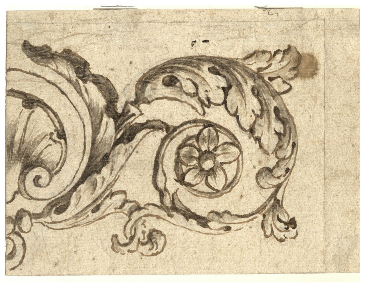 Conchiglia e foglie d'acanto (disegno) di Maggiolini (bottega) (secc. XVIII/ XIX)