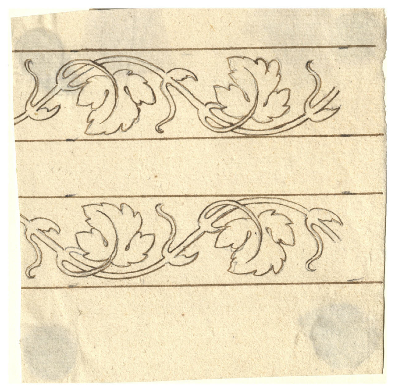 Bordure fogliacee (disegno) di Maggiolini (bottega) (secc. XVIII/ XIX)