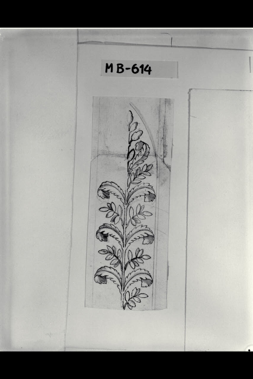 Studio di fregio (disegno) di Maggiolini (bottega) (secc. XVIII/ XIX)