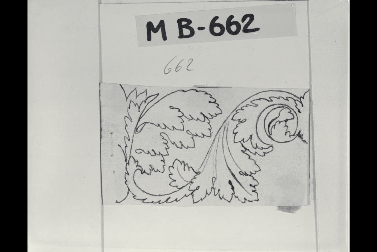 Elemento fogliaceo (disegno) di Maggiolini (bottega) (secc. XVIII/ XIX)