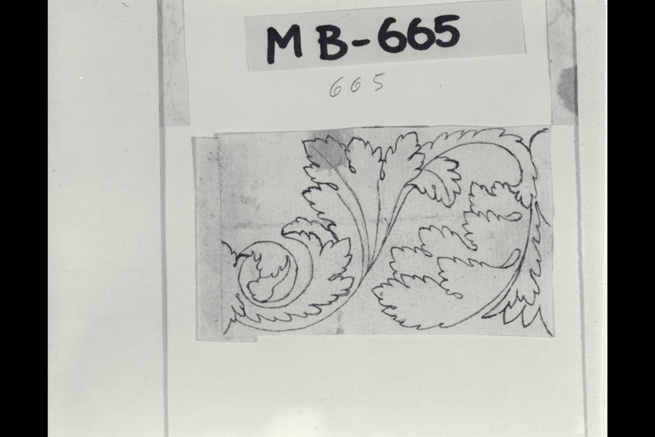 Elemento fogliaceo (disegno) di Maggiolini (bottega) (secc. XVIII/ XIX)