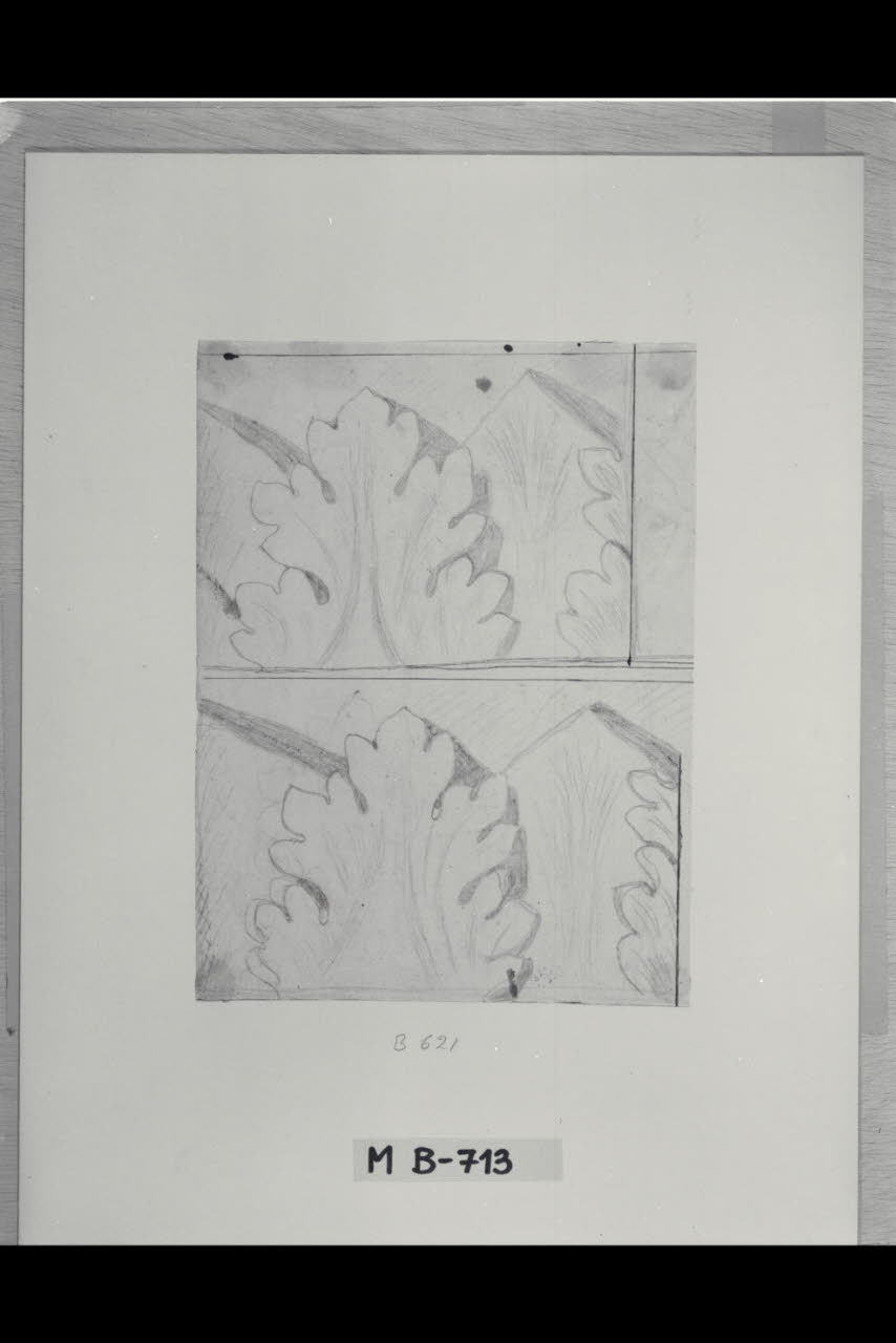 Motivi fogliacei (disegno) di Maggiolini (bottega) (secc. XVIII/ XIX)