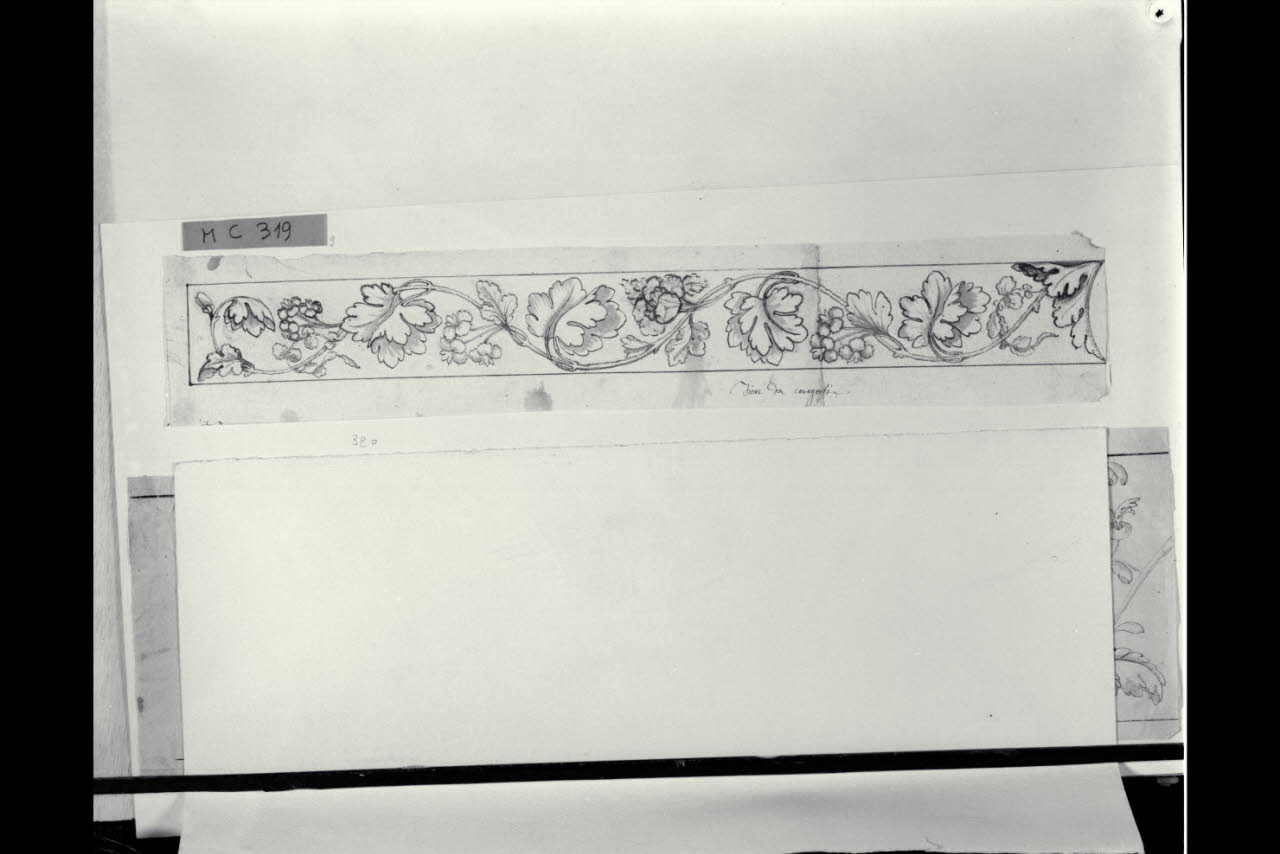 Fregio con tralcio di vite (disegno) di Maggiolini (bottega) (secc. XVIII/ XIX)