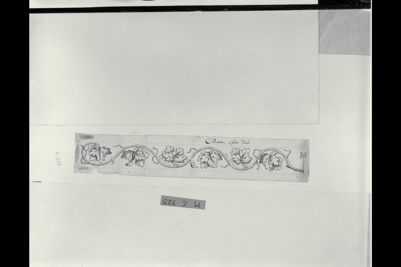 Fregio con tralcio di vite (disegno) di Maggiolini (bottega) (secc. XVIII/ XIX)