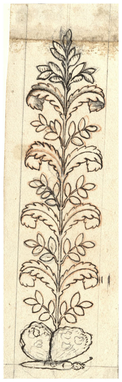 Studio per fregio centrato da una farfalla (disegno) di Maggiolini (bottega) (secc. XVIII/ XIX)