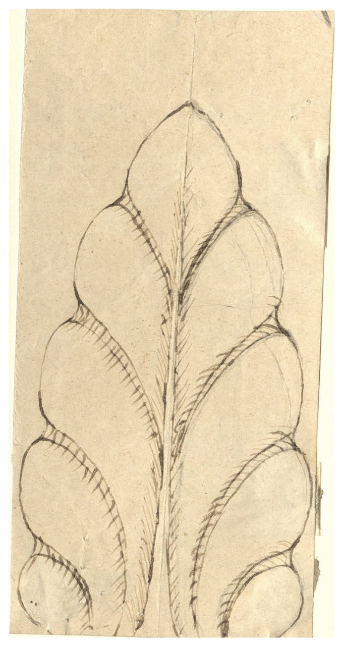 Foglia d'acanto stilizzata (disegno) di Maggiolini (bottega) (secc. XVIII/ XIX)