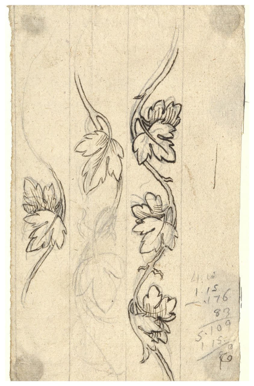 Tralci di vite (disegno) di Maggiolini (bottega) (secc. XVIII/ XIX)