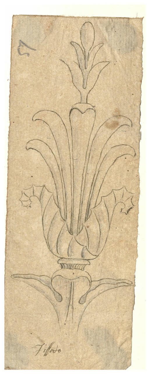 Motivo fitomorfo con foglie stilizzate (disegno) di Maggiolini (bottega) (secc. XVIII/ XIX)
