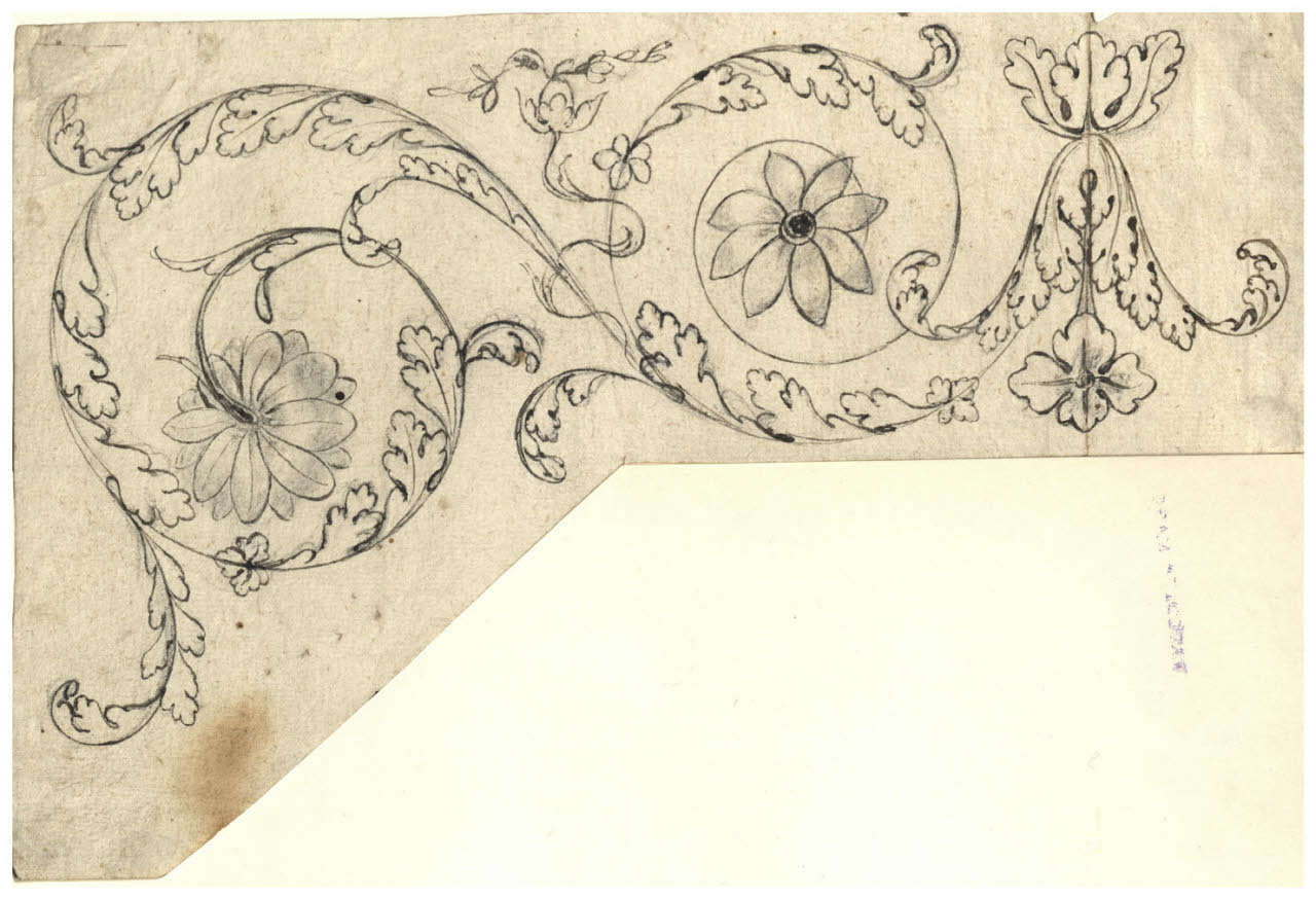 Particolare decorativo con girali (disegno) di Maggiolini (bottega) (secc. XVIII/ XIX)