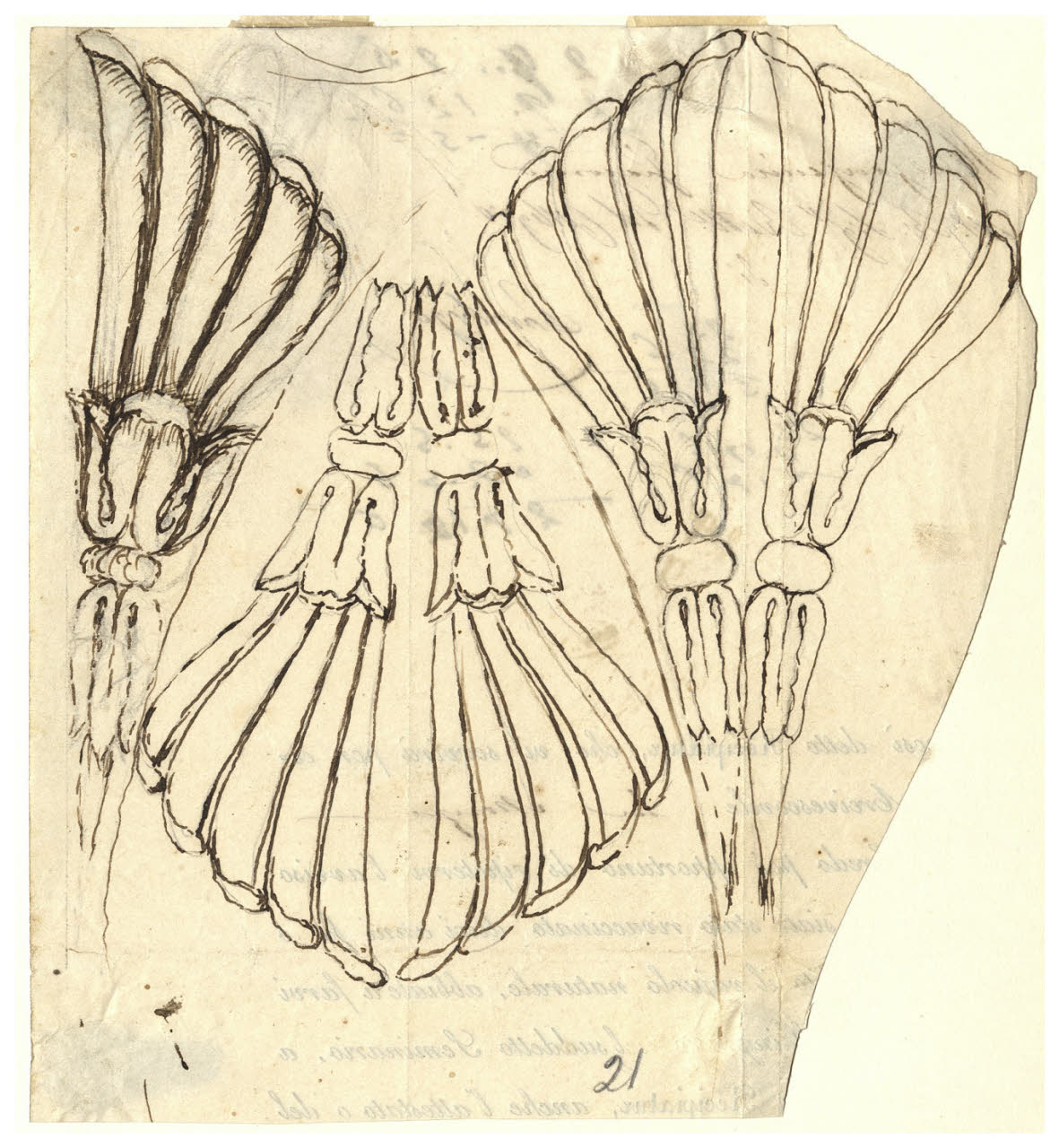 Studi per antemioni (disegno) di Maggiolini (bottega) (secc. XVIII/ XIX)