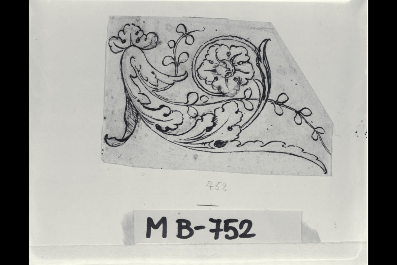 Particolare ornamentale (disegno) di Maggiolini (bottega) (secc. XVIII/ XIX)