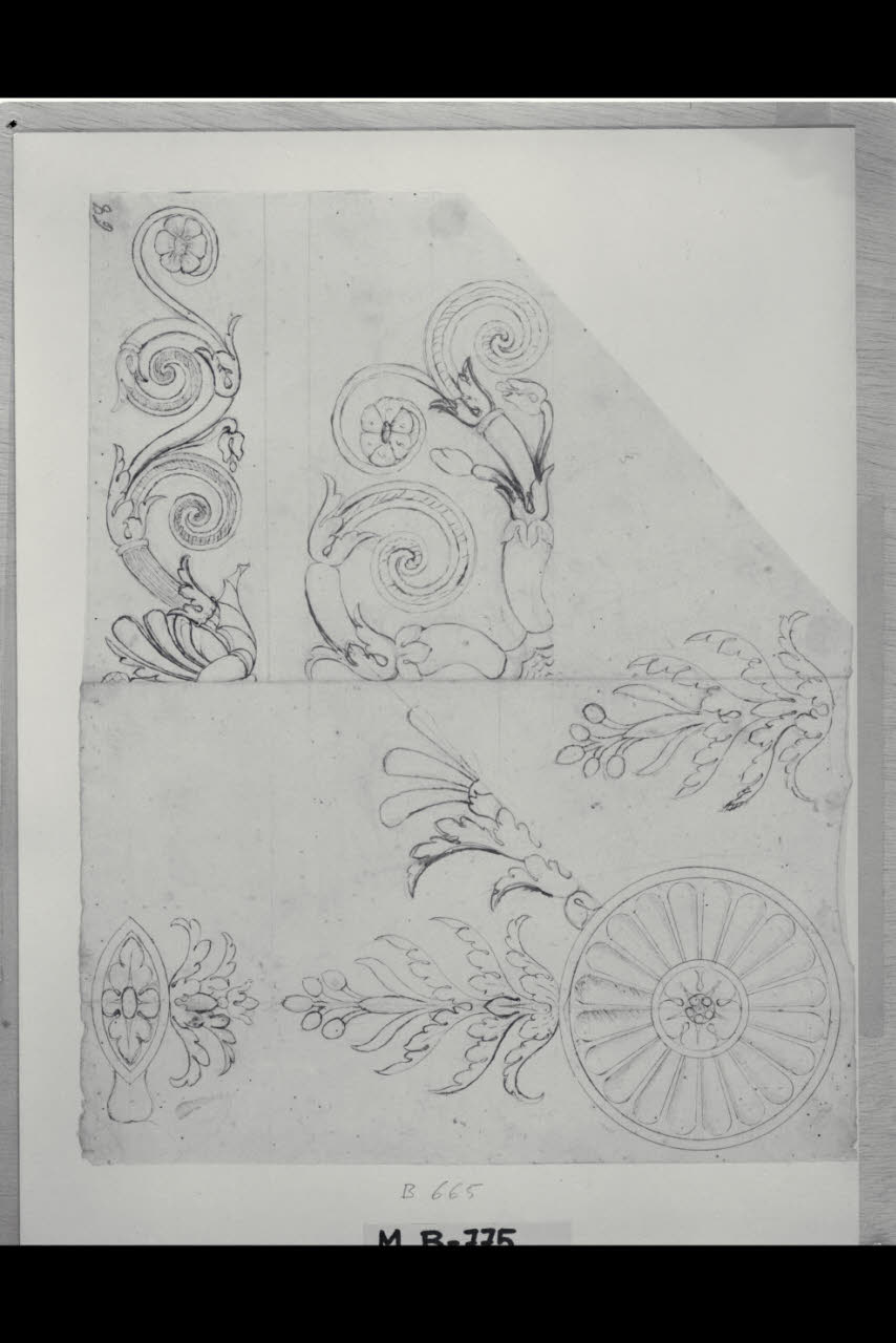 Studi di particolari ornamentali (disegno) di Maggiolini (bottega) (secc. XVIII/ XIX)
