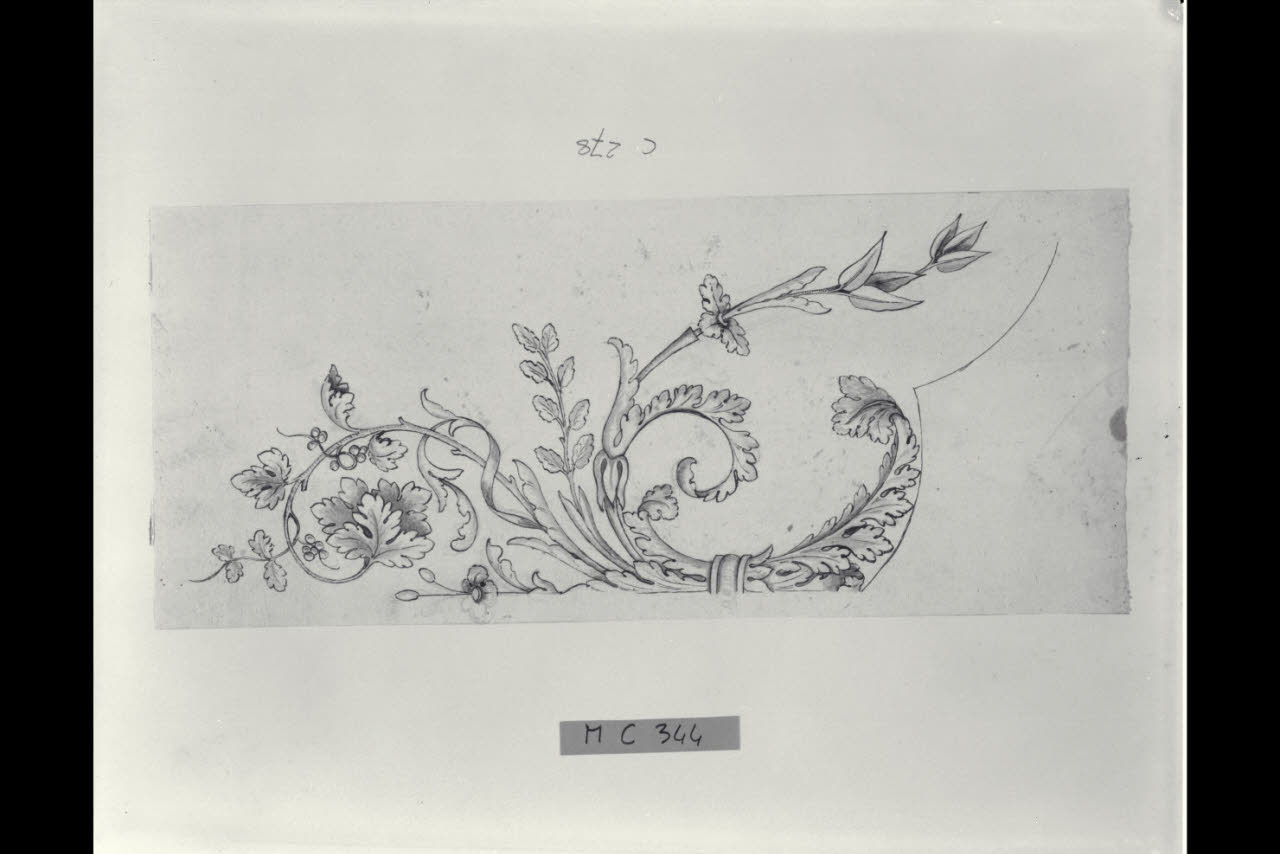 Motivi fogliacei (disegno) di Maggiolini (bottega) (secc. XVIII/ XIX)