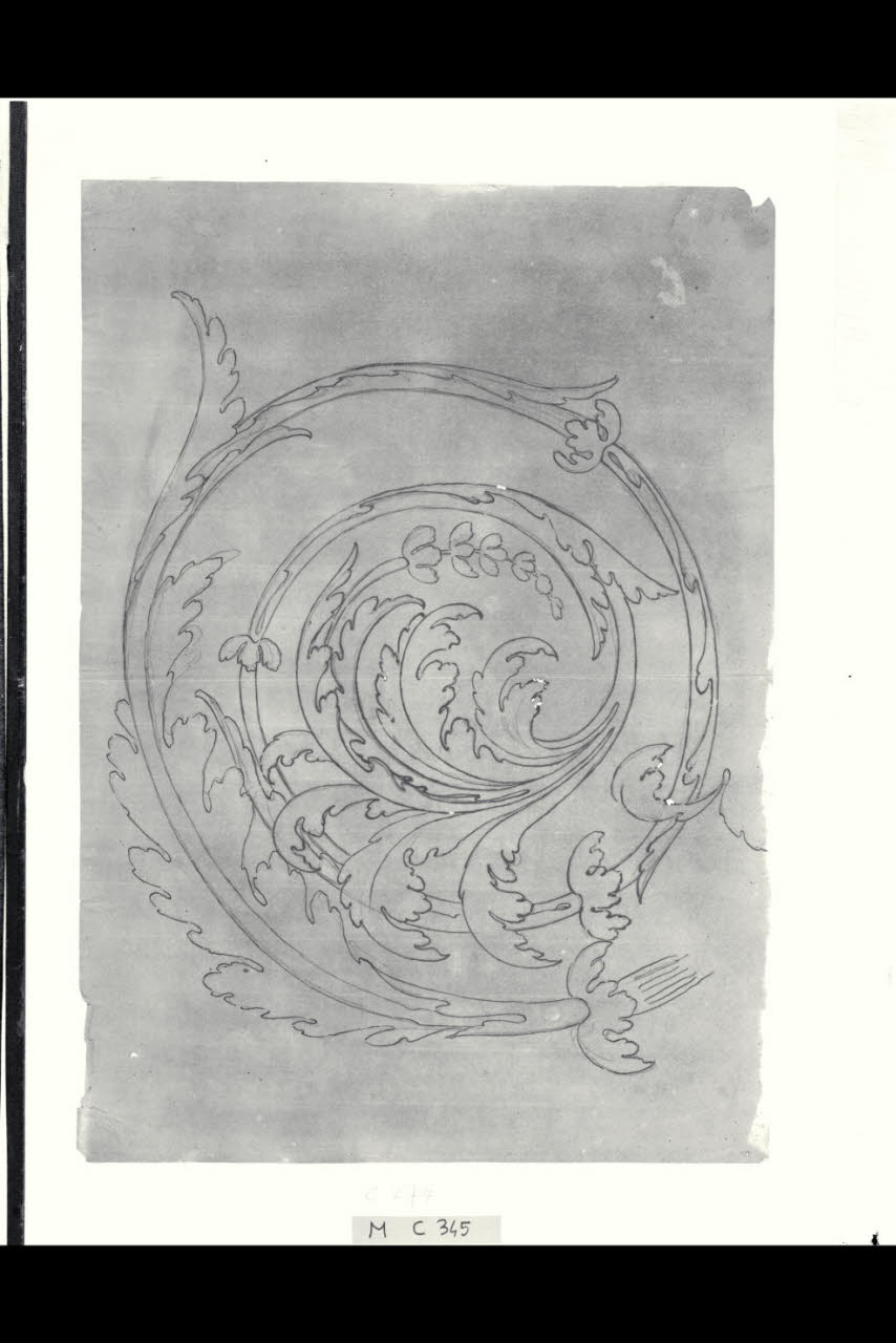 Girale d'acanto (disegno) di Maggiolini (bottega) (secc. XVIII/ XIX)
