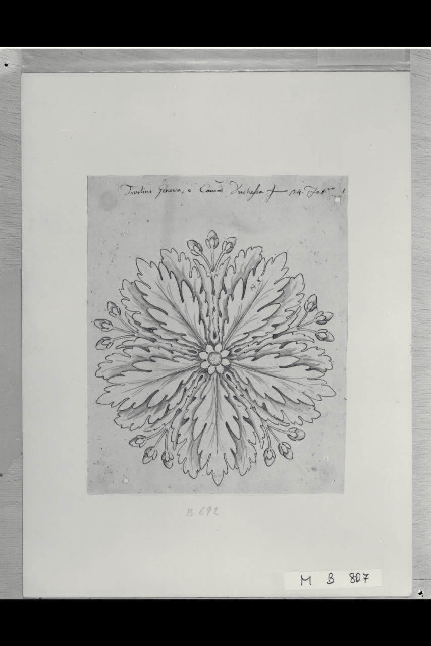 Rosone (disegno) di Maggiolini (bottega) (secc. XVIII/ XIX)