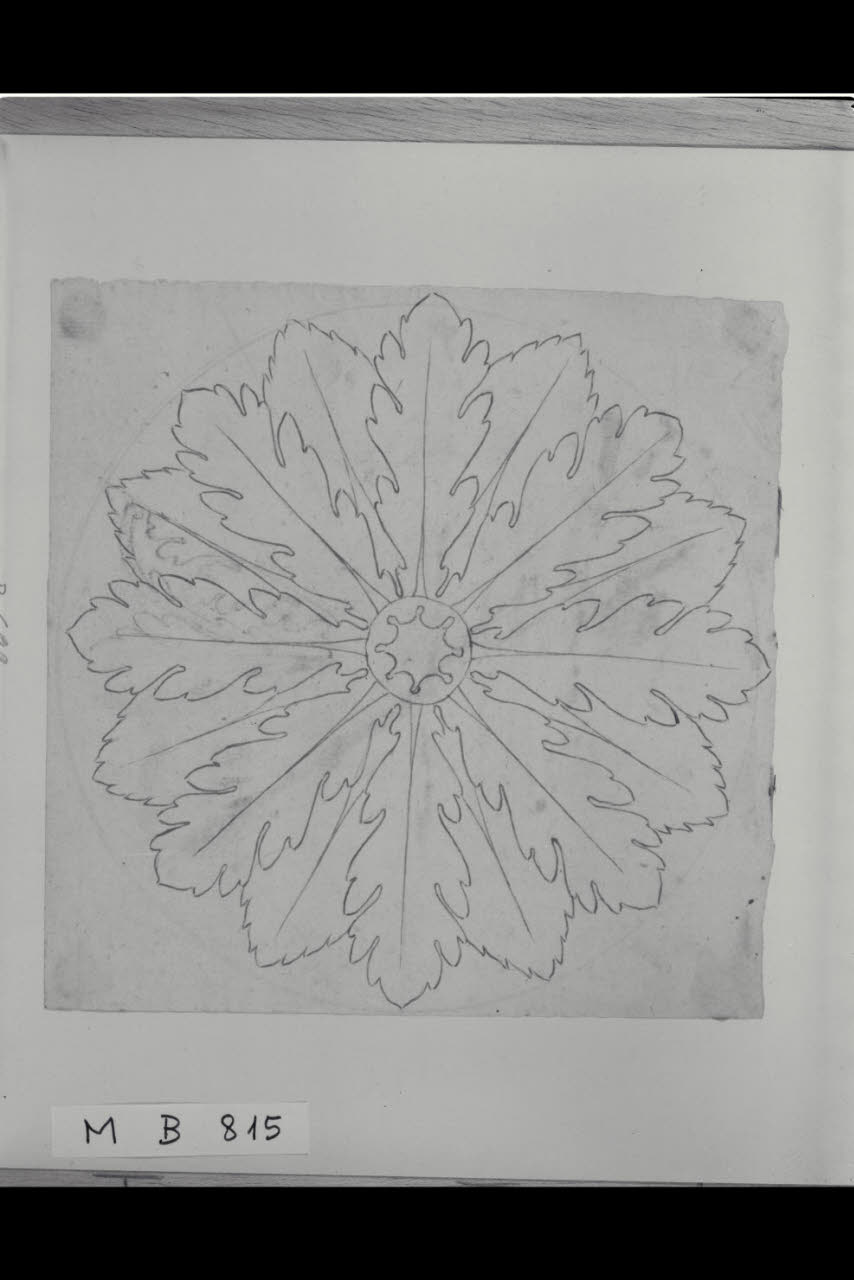 Rosone (disegno) di Maggiolini (bottega) (secc. XVIII/ XIX)
