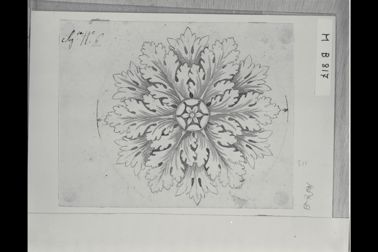Rosone (disegno) di Maggiolini (bottega) (secc. XVIII/ XIX)