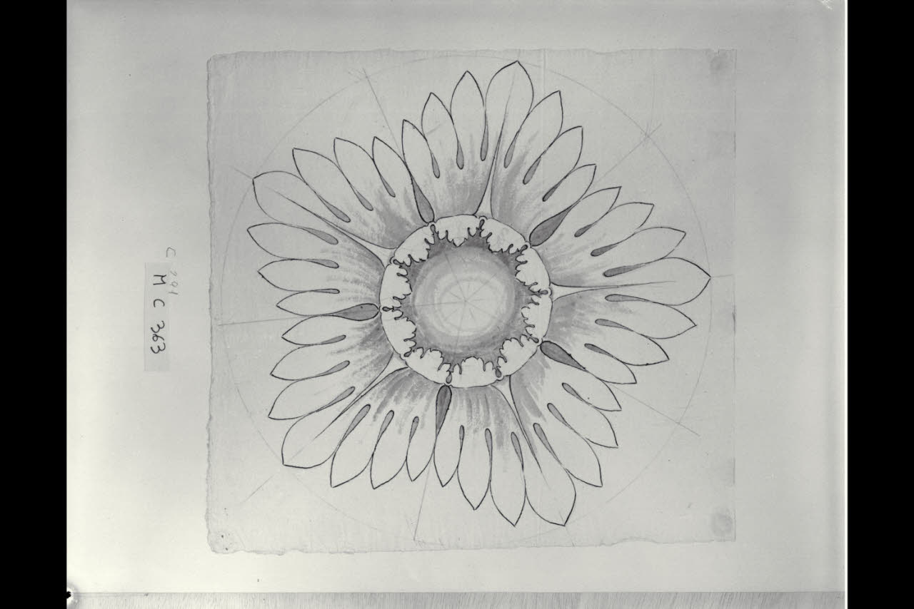 Rosone (disegno) di Maggiolini (bottega) (secc. XVIII/ XIX)