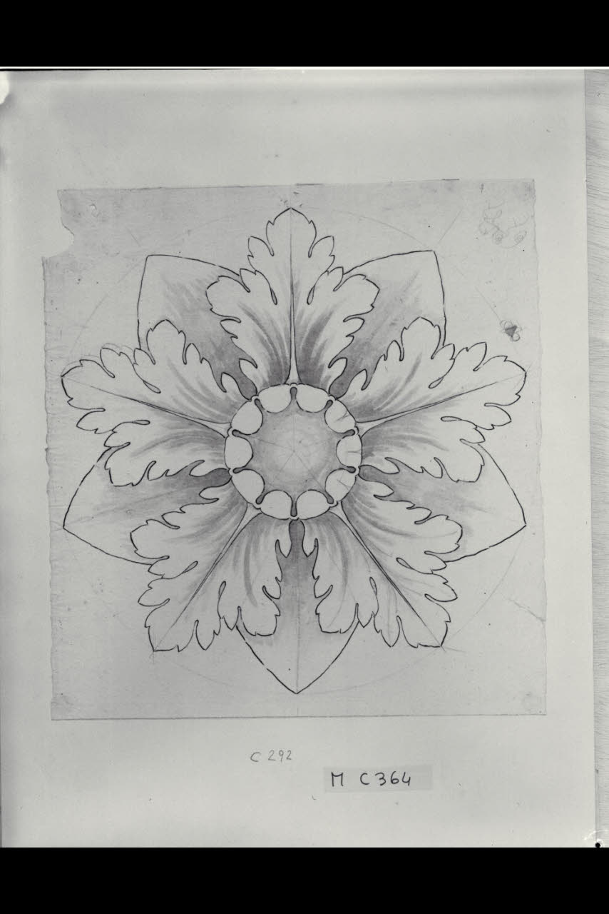 Rosone (disegno) di Maggiolini (bottega) (secc. XVIII/ XIX)