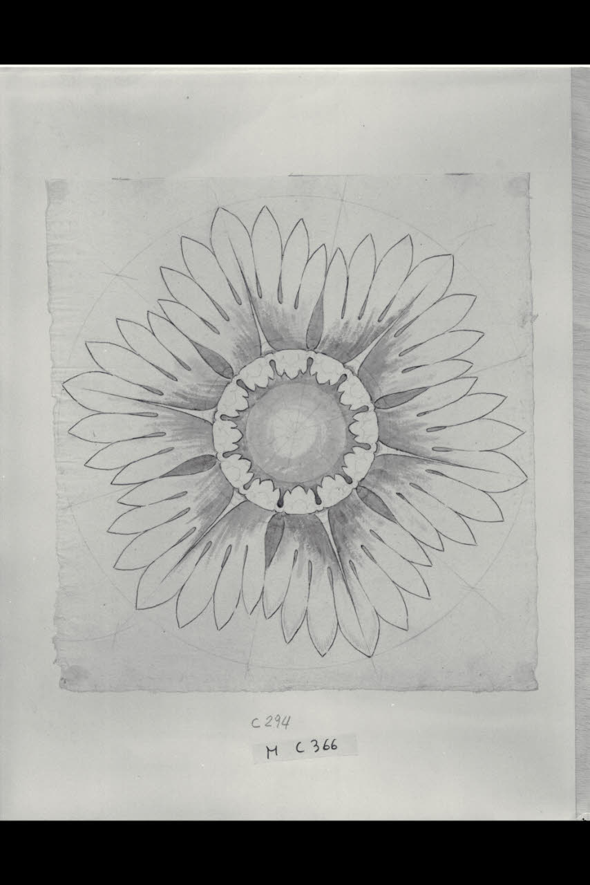 Rosone (disegno) di Maggiolini (bottega) (secc. XVIII/ XIX)