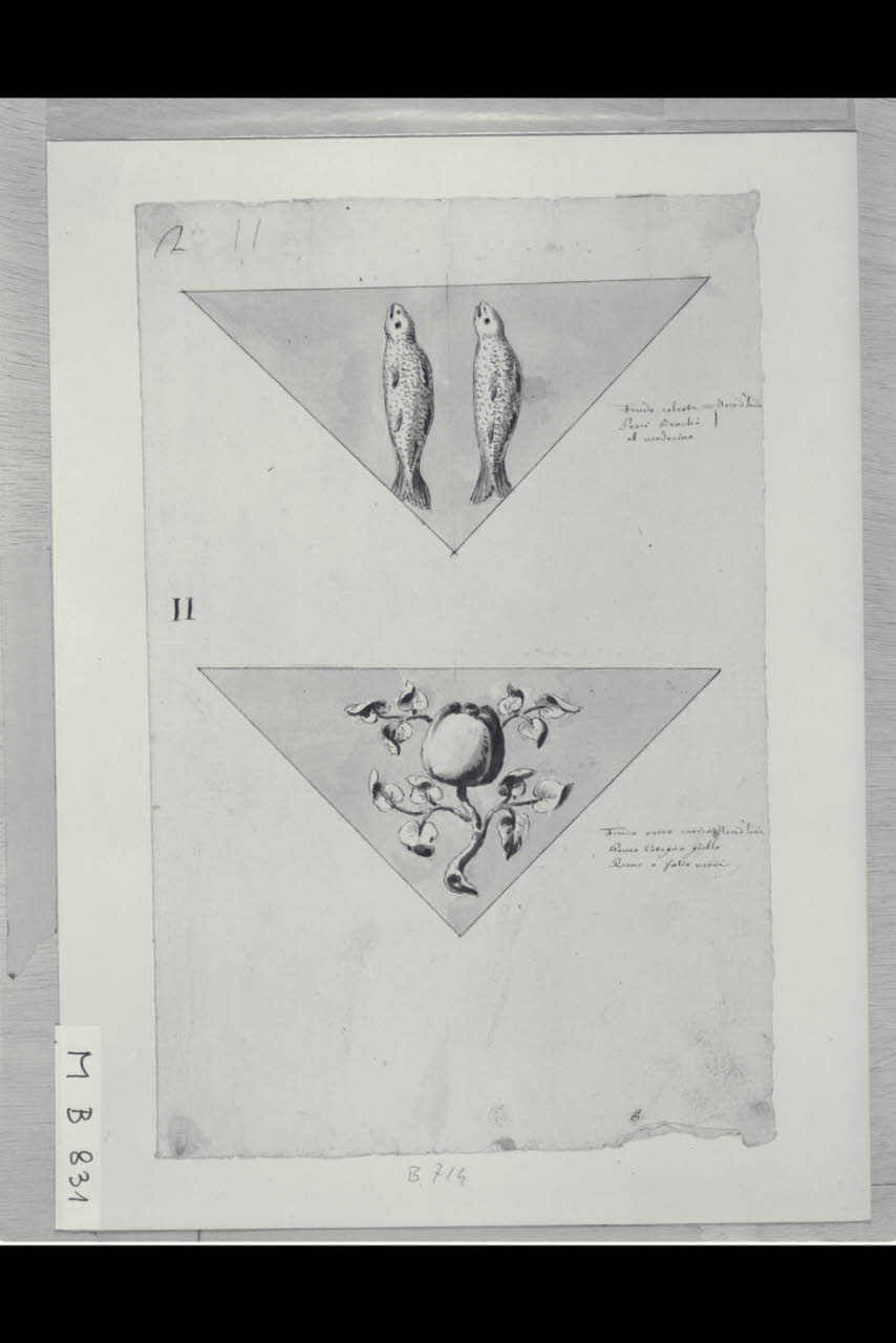 Due scudi con emblemi (disegno) di Maggiolini (bottega) (secc. XVIII/ XIX)