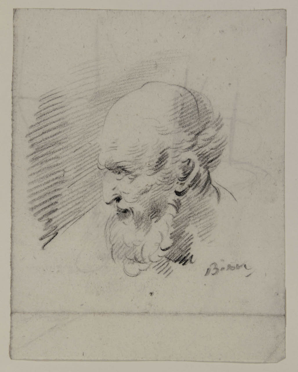 Testa di vecchio di profilo, Testa di vecchio di profilo (disegno) di Bison, Giuseppe Bernardino (secc. XVIII/ XIX)