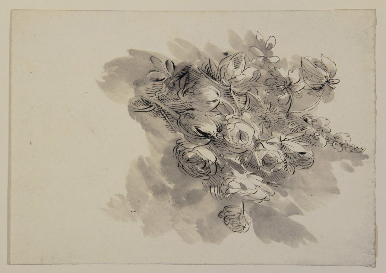 Mazzo di fiori, Mazzo di fiori (disegno) di Bison, Giuseppe Bernardino (secc. XVIII/ XIX)