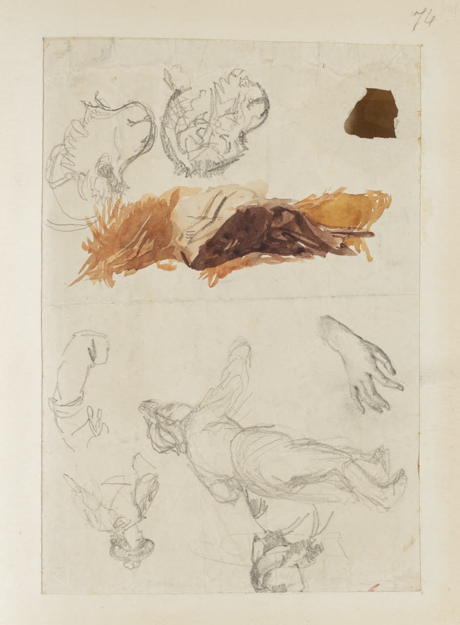 Studio di teste di scimmia, mano, figura maschile e altre figurette, Studio di teste di scimmia, mano, figura maschile e altre figurette (disegno) di Durini, Alessandro (sec. XIX)