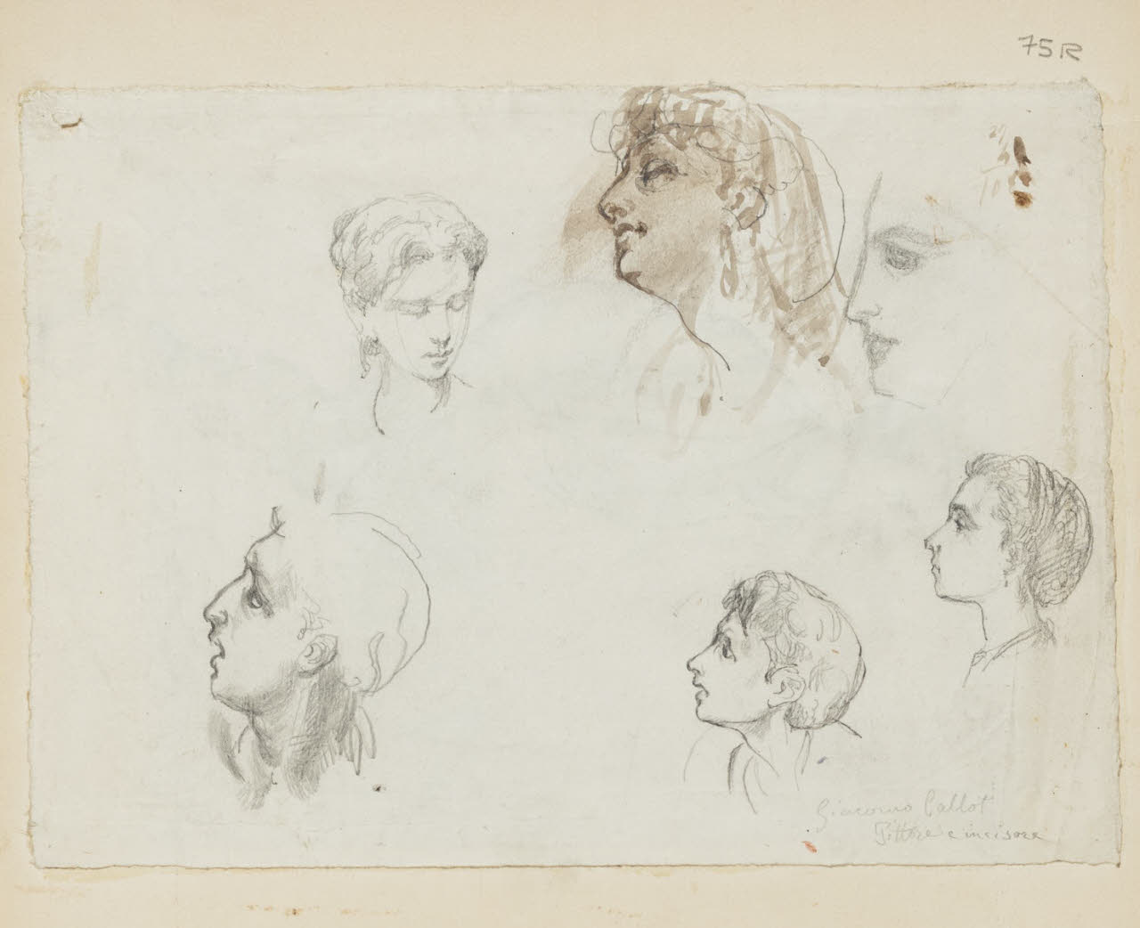 Studio di teste, Studio di teste (disegno) di Durini, Alessandro (sec. XIX)