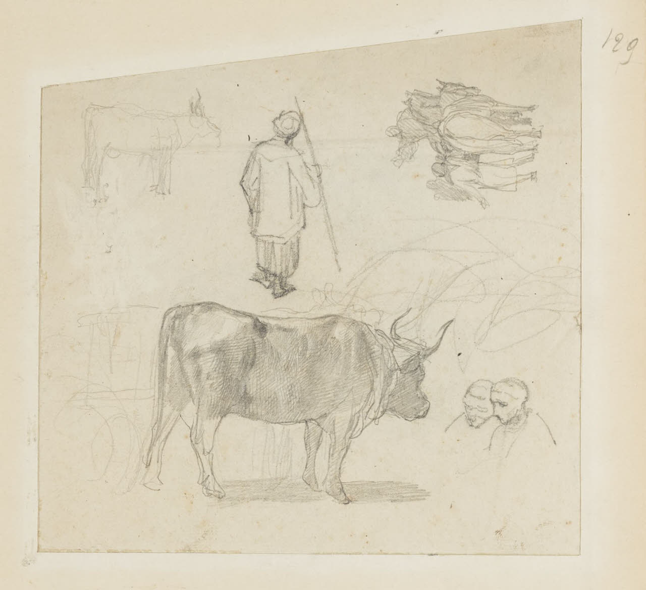 Bovini, pastore e schizzi vari, Bovini, pastore e schizzi vari (disegno) di Durini, Alessandro (sec. XIX)