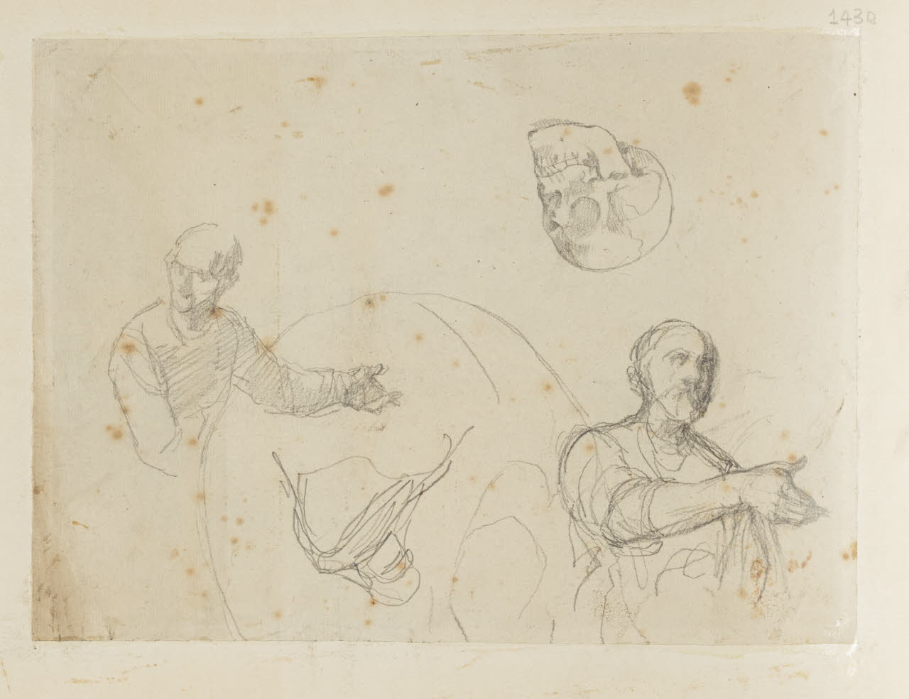 Studi di figure maschili e teschio, Studi di figure maschili e teschio (disegno) di Durini, Alessandro (sec. XIX)
