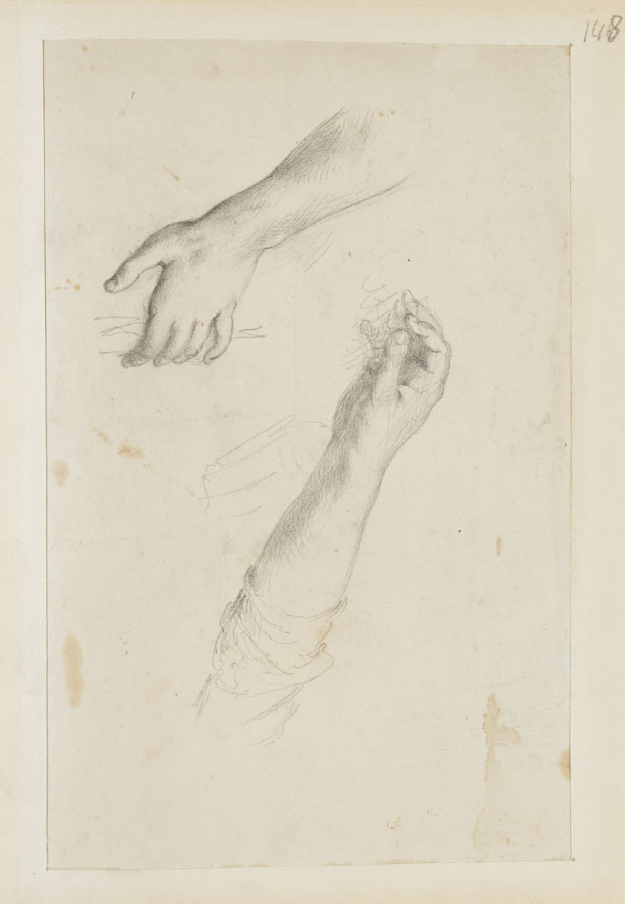 Studio di mani e di braccia, Studio di mani e di braccia (disegno) di Durini, Alessandro (sec. XIX)