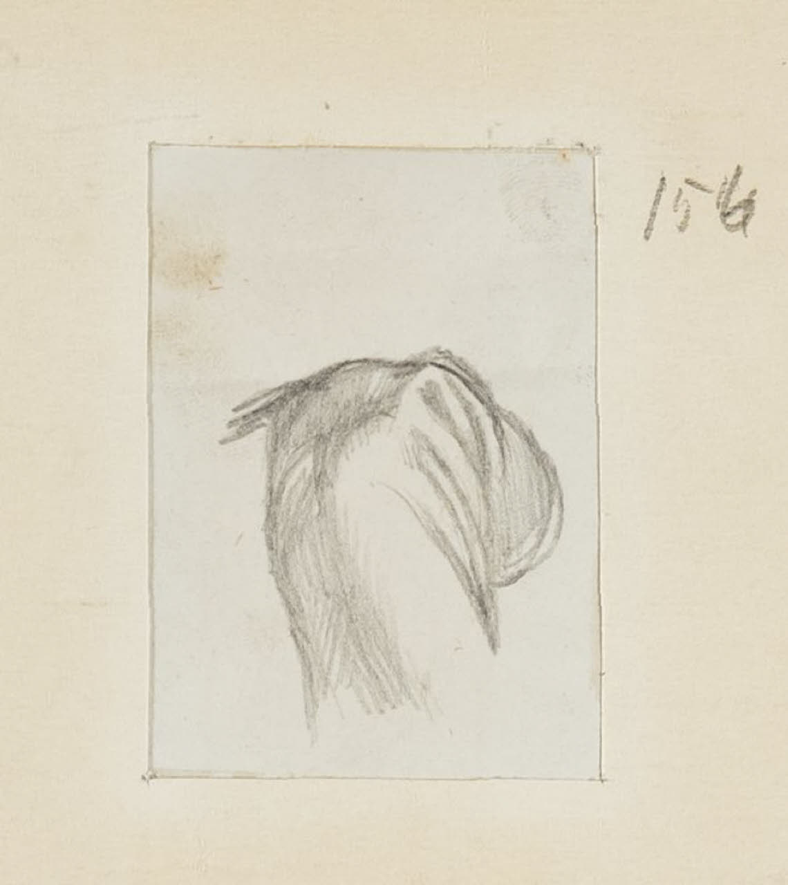 Studio di panneggio, Studio di panneggio (disegno) di Durini, Alessandro (sec. XIX)