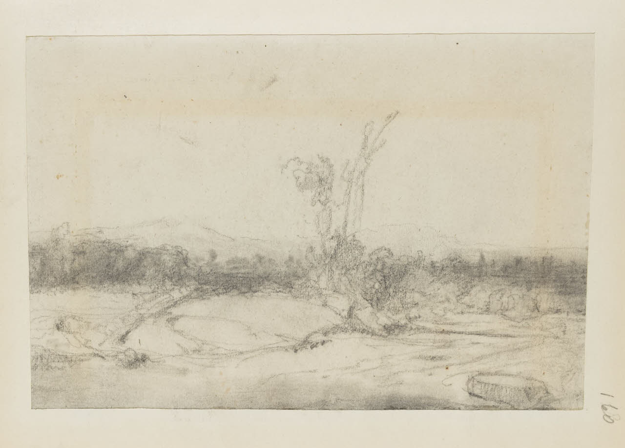 Paesaggio con alberi, Paesaggio con alberi (disegno) di Durini, Alessandro (sec. XIX)