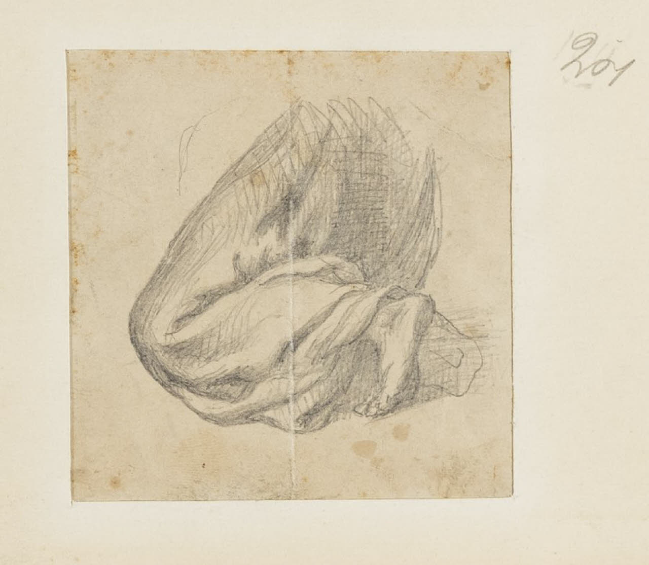 Studio di panneggio, Studio di panneggio (disegno) di Durini, Alessandro (sec. XIX)