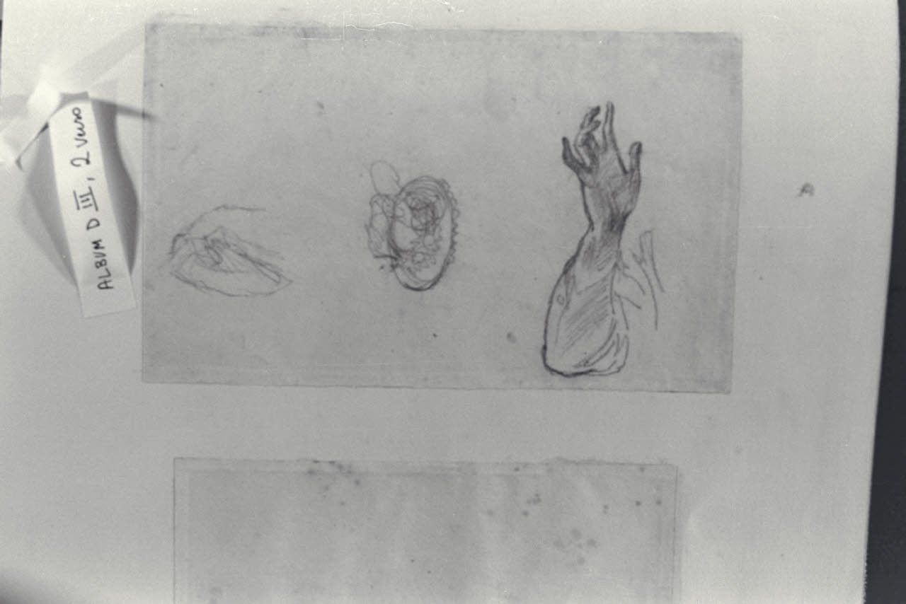 Studio di mano e schizzi (disegno) di Durini, Alessandro (sec. XIX)