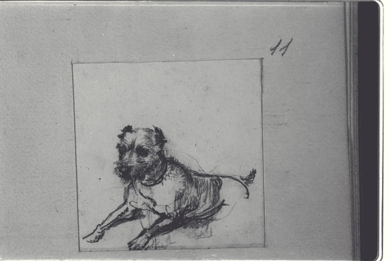 Cane accovacciato (disegno) di Durini, Alessandro (sec. XIX)
