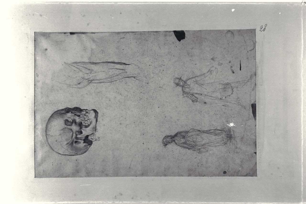 Studi anatomici e schizzi di figure (disegno) di Durini, Alessandro (sec. XIX)