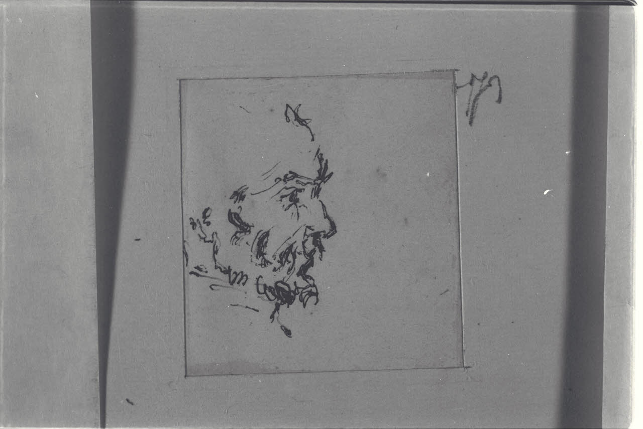 Uomo barbuto di profilo (disegno) di Durini, Alessandro (sec. XIX)