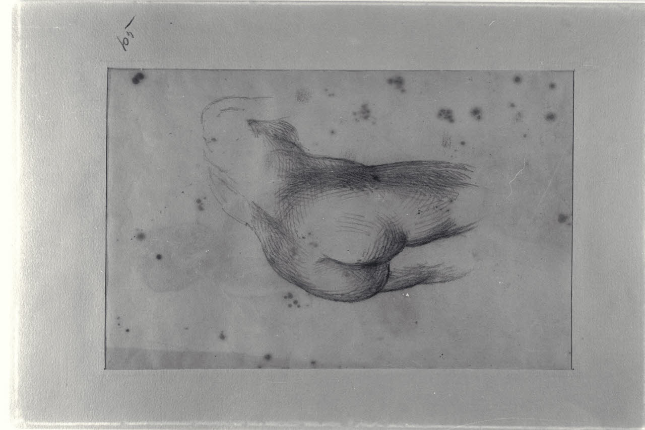 Donna vista da tergo, Donna vista da tergo (disegno) di Durini, Alessandro (sec. XIX)