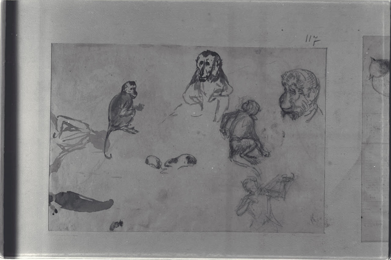 Studio di scimmie e di topi e schizzi di figure, Studio di scimmie e di topi e schizzi di figure (disegno) di Durini, Alessandro (sec. XIX)