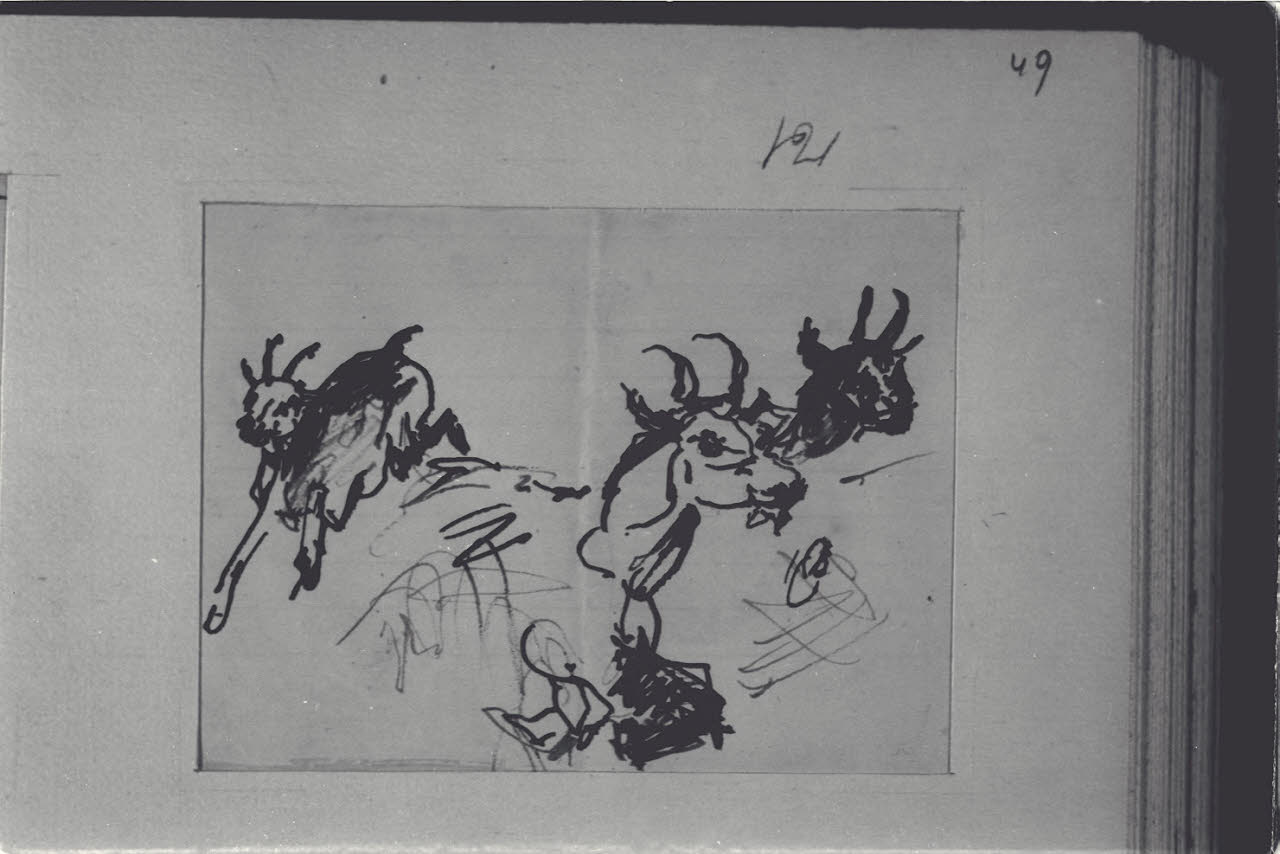 Schizzi di caprette, Schizzi di caprette (disegno) di Durini, Alessandro (sec. XIX)