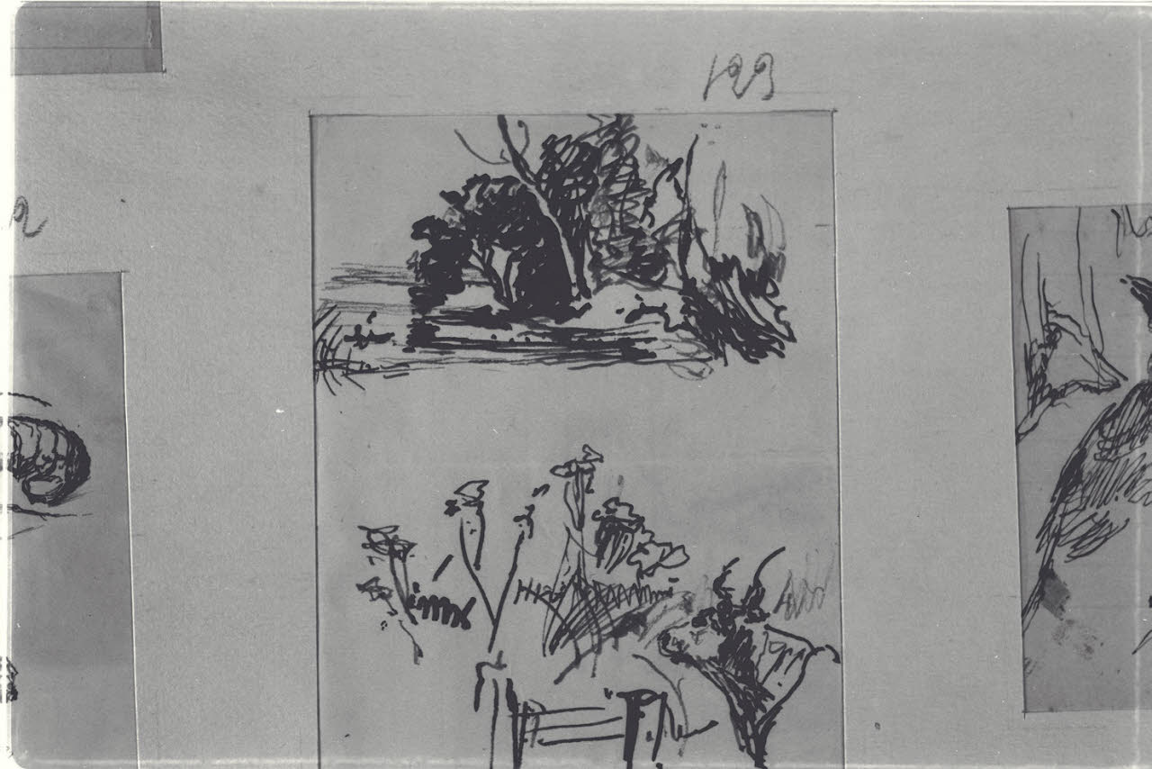 Schizzi vegetali e bovino, Schizzi vegetali e bovino (disegno) di Durini, Alessandro (sec. XIX)