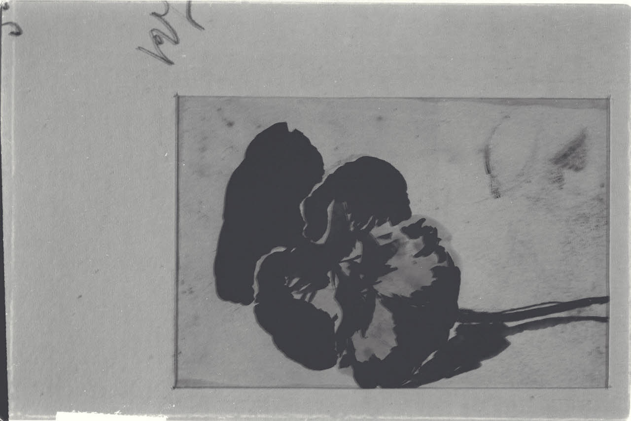 Viola del pensiero, Viola del pensiero (disegno) di Durini, Alessandro (sec. XIX)