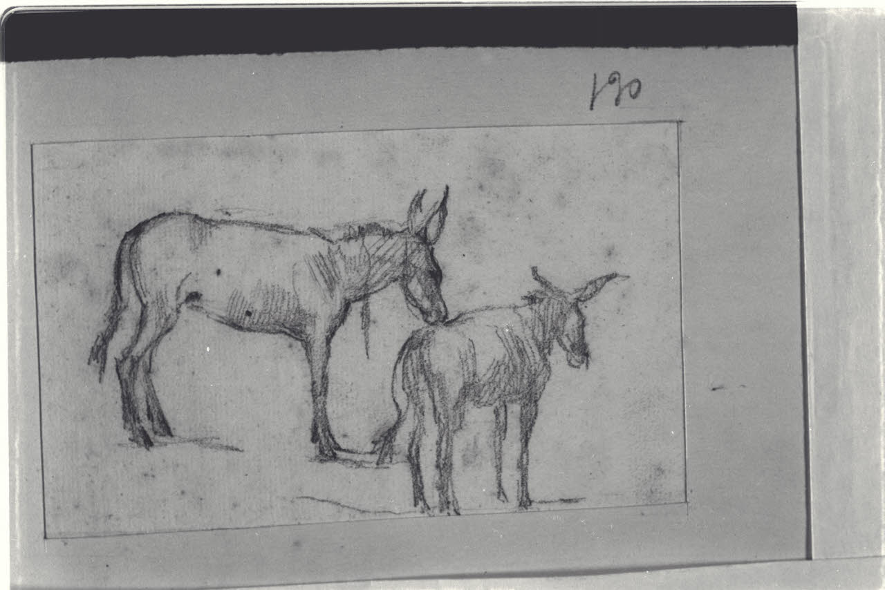 Asinelli, Asinelli (disegno) di Durini, Alessandro (sec. XIX)