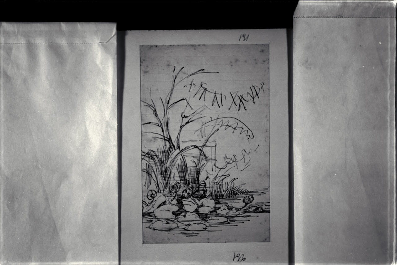 Stagno, Stagno (disegno) di Durini, Alessandro (sec. XIX)